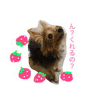 がんちゃん2（個別スタンプ：3）