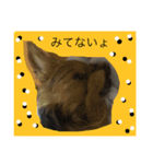 がんちゃん2（個別スタンプ：8）
