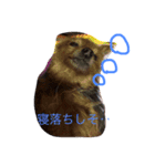 がんちゃん♡（個別スタンプ：7）