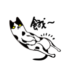 CRAZY TUXEDO CAT（個別スタンプ：1）