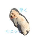 あくびの生活（個別スタンプ：9）