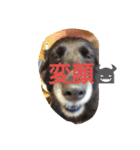 pekono nichijyo2（個別スタンプ：8）