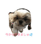 Pmm（個別スタンプ：1）