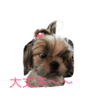 Pmm（個別スタンプ：2）
