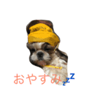 Pmm（個別スタンプ：4）