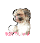 Pmm（個別スタンプ：5）