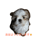 Pmm（個別スタンプ：8）