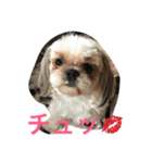 Pmm（個別スタンプ：12）