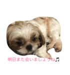 Pmm（個別スタンプ：13）