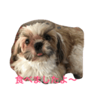 Pmm（個別スタンプ：14）