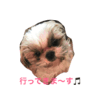 Pmm（個別スタンプ：15）
