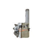 ニャンズー（個別スタンプ：3）