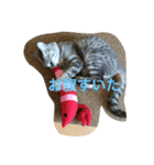 ニアのつぶやき（個別スタンプ：6）