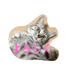 ニアのつぶやき（個別スタンプ：8）