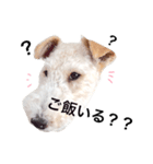 メイの日常（個別スタンプ：5）