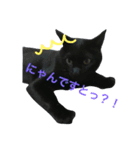 H家の小太郎さん（個別スタンプ：2）