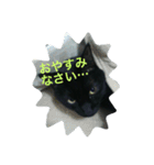 H家の小太郎さん（個別スタンプ：7）