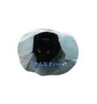 H家の小太郎さん（個別スタンプ：8）