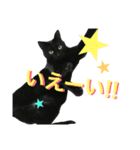 H家の小太郎さん（個別スタンプ：15）