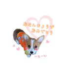 あいさつする短足犬（個別スタンプ：4）