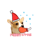 あいさつする短足犬（個別スタンプ：8）