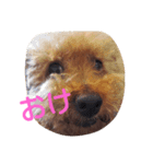 ジロウ挨拶（個別スタンプ：1）