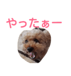ジロウ挨拶（個別スタンプ：6）