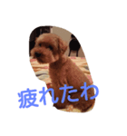 ジロウ挨拶（個別スタンプ：7）