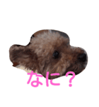 ジロウ挨拶（個別スタンプ：8）