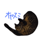 ゆきちゃんとさっちゃん（個別スタンプ：5）