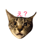 ゆきちゃんとさっちゃん（個別スタンプ：6）