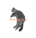 マイエンジェルトム（個別スタンプ：6）