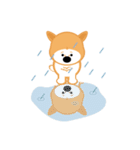 WuTsai Shiba Inu(family)（個別スタンプ：16）