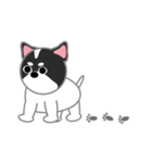 WuTsai Shiba Inu(family)（個別スタンプ：23）