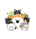 WuTsai Shiba Inu(family)（個別スタンプ：24）