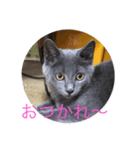 一口（個別スタンプ：3）