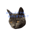 一口（個別スタンプ：6）