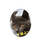 一口（個別スタンプ：8）