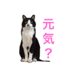 こてつ さん（個別スタンプ：7）