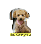 こてつまるるるる（個別スタンプ：1）