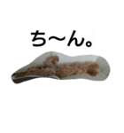 こてつまるるるる（個別スタンプ：2）