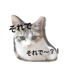 White gang with a brown older brother（個別スタンプ：2）
