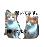 White gang with a brown older brother（個別スタンプ：10）