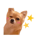くま's あにまる（個別スタンプ：11）