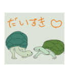 かめスタンプ（個別スタンプ：9）