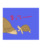 かめスタンプ（個別スタンプ：16）