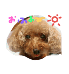 パセリちゃんのいちにち（個別スタンプ：1）