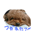 パセリちゃんのいちにち（個別スタンプ：6）