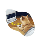 虎男（個別スタンプ：8）