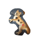 虎男（個別スタンプ：16）